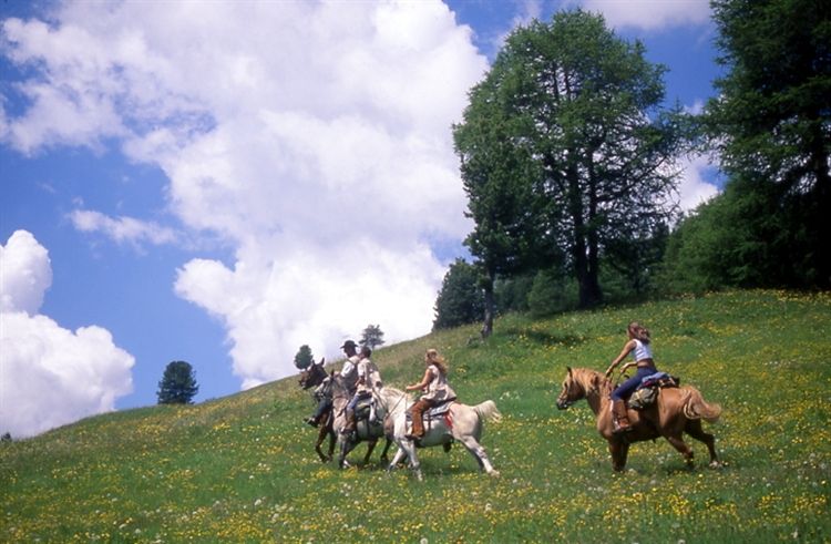 Rijden in Trentino Alto Adige